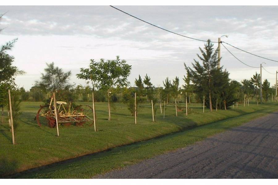 Roldan,Santa Fe,2 Habitaciones Habitaciones,2 BañosBaños,Casas,Country Prosperity Lands,Fiambala,1639