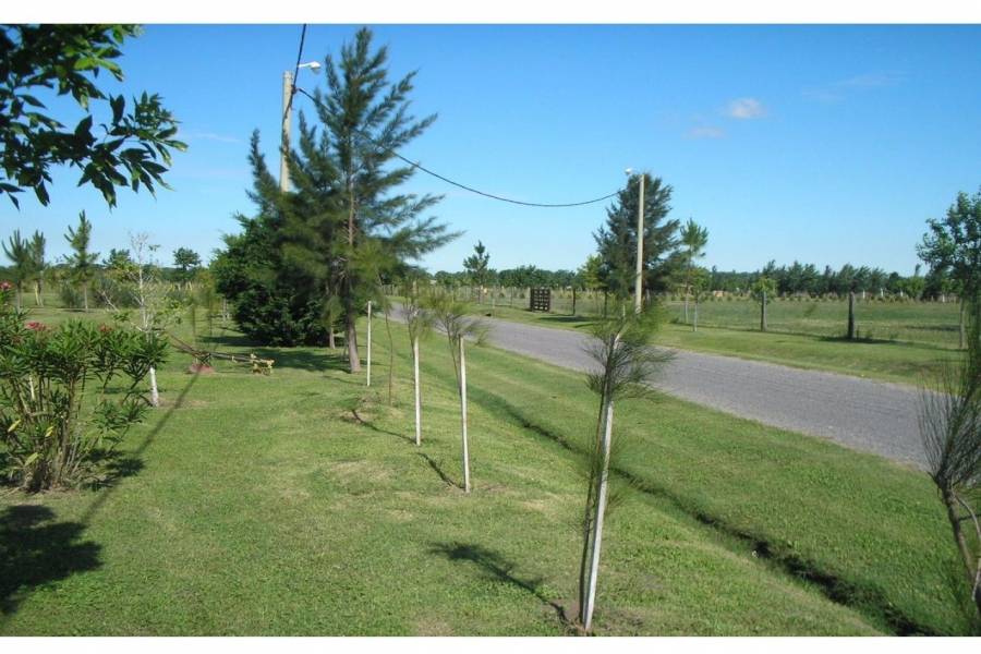 Roldan,Santa Fe,2 Habitaciones Habitaciones,2 BañosBaños,Casas,Country Prosperity Lands,Fiambala,1639