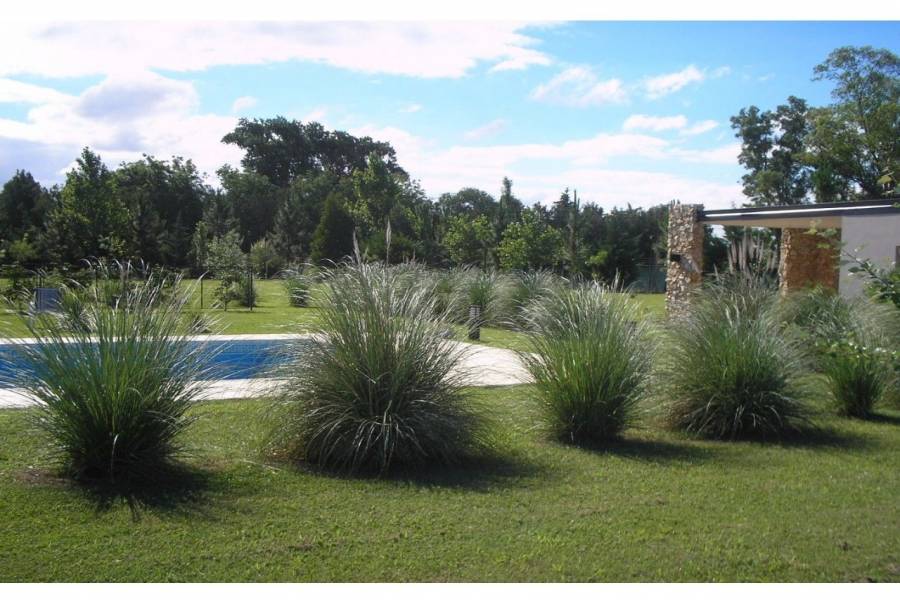 Roldan,Santa Fe,2 Habitaciones Habitaciones,2 BañosBaños,Casas,Country Prosperity Lands,Fiambala,1639