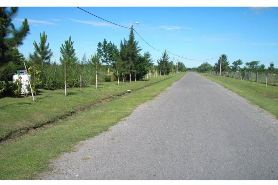 Roldan,Santa Fe,2 Habitaciones Habitaciones,2 BañosBaños,Casas,Country Prosperity Lands,Fiambala,1639