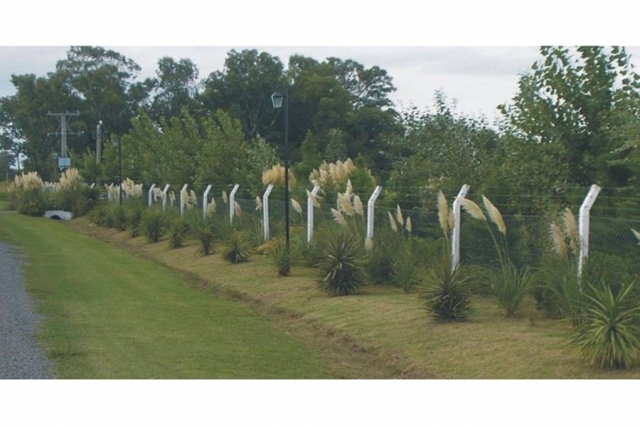 Roldan,Santa Fe,2 Habitaciones Habitaciones,2 BañosBaños,Casas,Country Prosperity Lands,Fiambala,1639