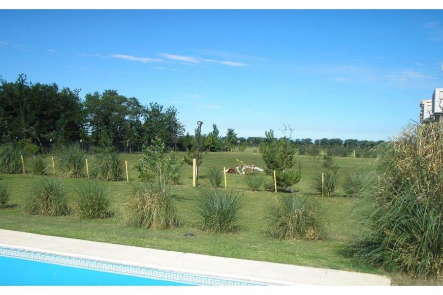 Roldan,Santa Fe,2 Habitaciones Habitaciones,2 BañosBaños,Casas,Country Prosperity Lands,Fiambala,1639