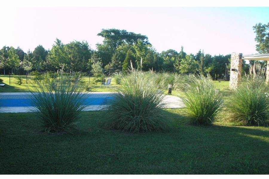 Roldan,Santa Fe,2 Habitaciones Habitaciones,2 BañosBaños,Casas,Country Prosperity Lands,Fiambala,1639