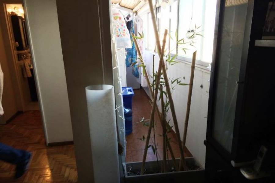 Flores,Capital Federal,Argentina,2 Bedrooms Bedrooms,1 BañoBathrooms,Apartamentos,ALBERDI,7284