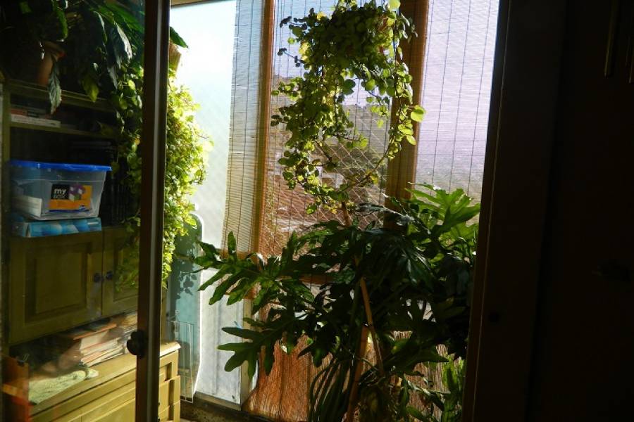 Almagro,Capital Federal,Argentina,2 Bedrooms Bedrooms,1 BañoBathrooms,Apartamentos,MAZA,7294