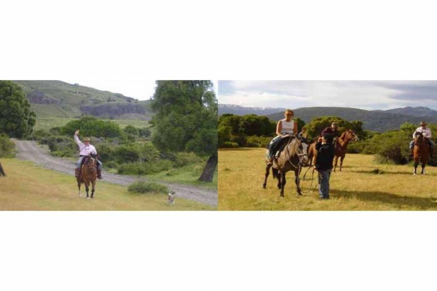 San Martin de los Andes,Neuquén,Campos,Ruta 234,1642