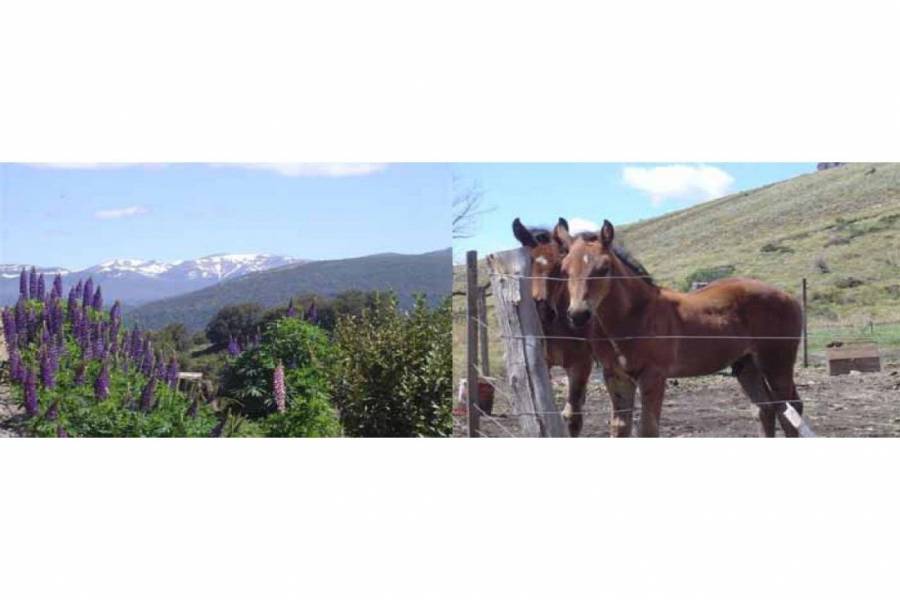 San Martin de los Andes,Neuquén,Campos,Ruta 234,1642