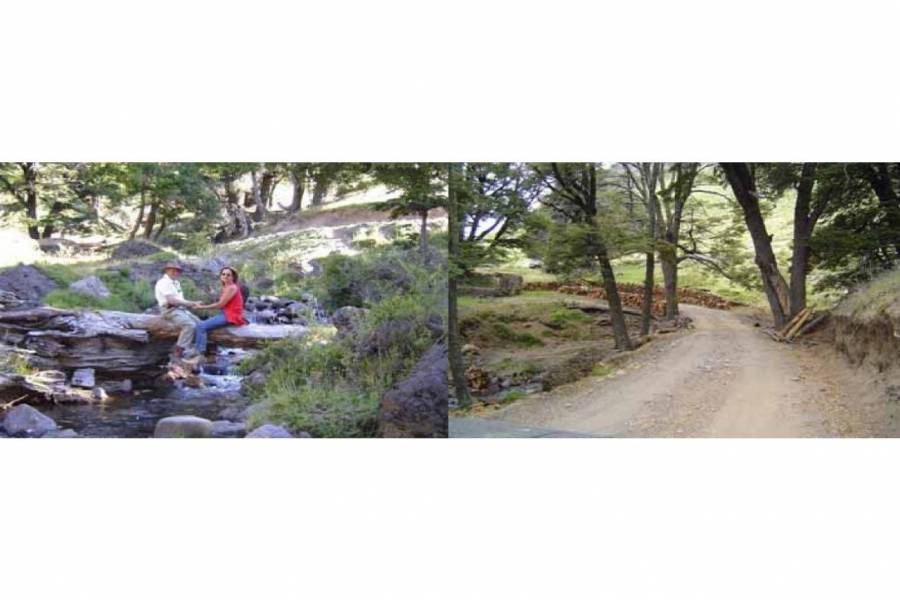 San Martin de los Andes,Neuquén,Campos,Ruta 234,1642