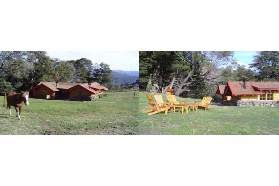 San Martin de los Andes,Neuquén,Campos,Ruta 234,1642