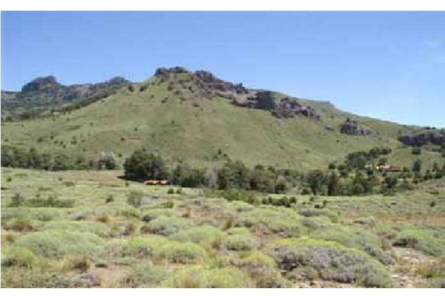 San Martin de los Andes,Neuquén,Campos,Ruta 234,1642