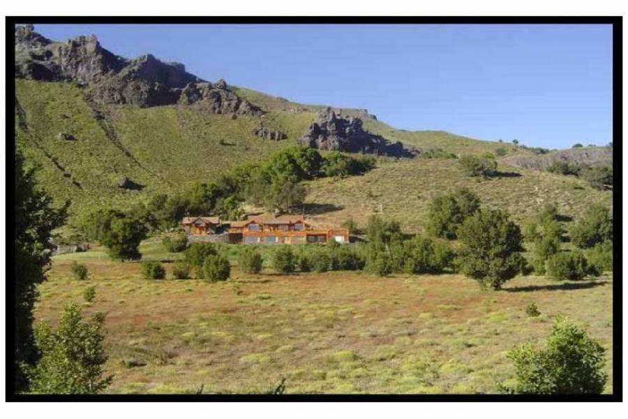 San Martin de los Andes,Neuquén,Campos,Ruta 234,1642