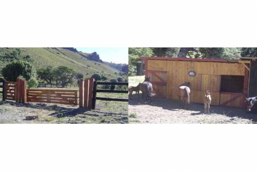 San Martin de los Andes,Neuquén,Campos,Ruta 234,1642