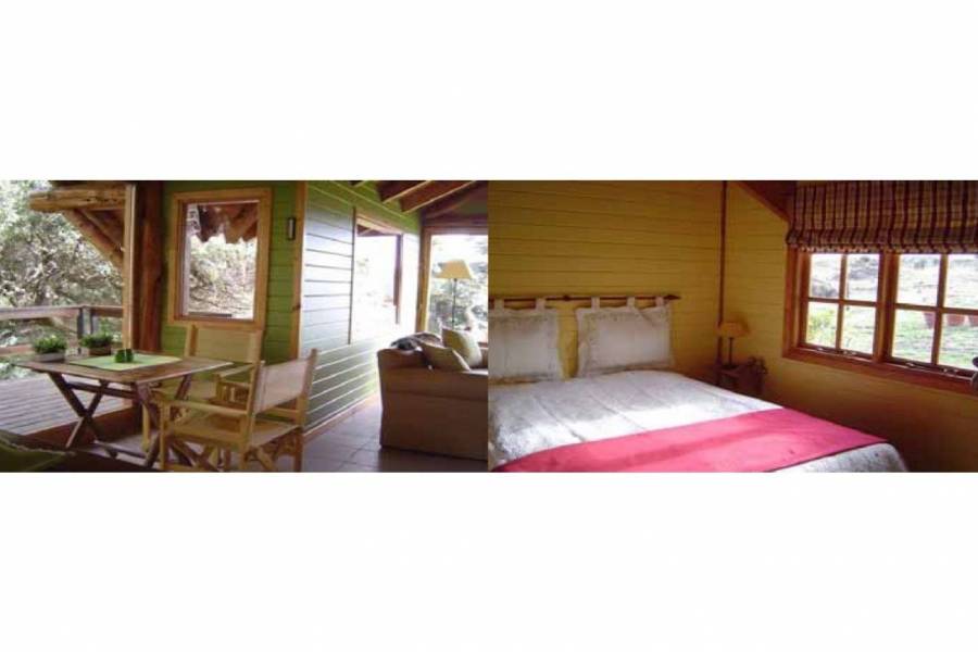 San Martin de los Andes,Neuquén,Campos,Ruta 234,1642