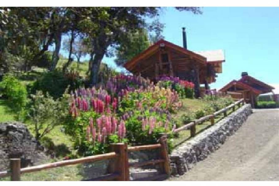 San Martin de los Andes,Neuquén,Campos,Ruta 234,1642