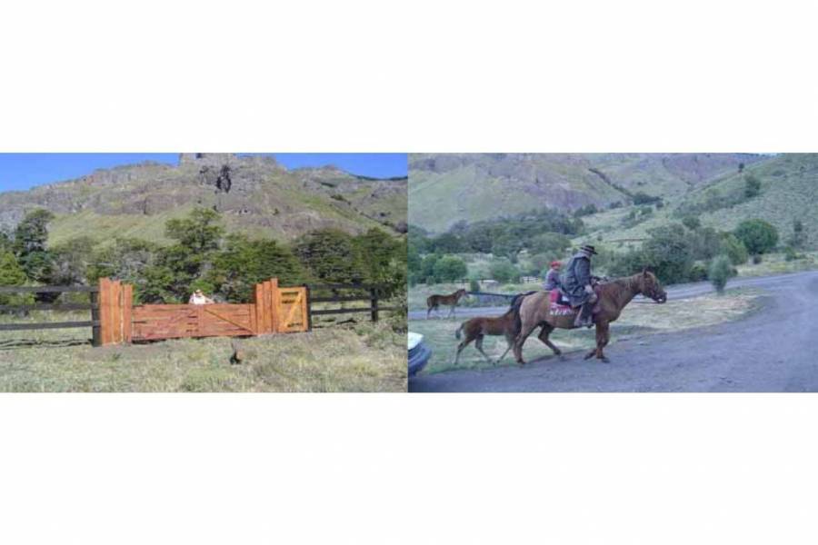 San Martin de los Andes,Neuquén,Campos,Ruta 234,1642