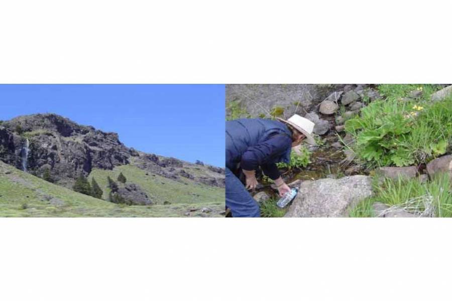 San Martin de los Andes,Neuquén,Campos,Ruta 234,1642