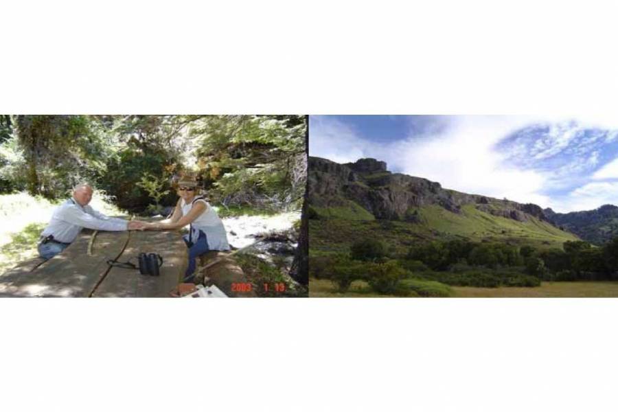 San Martin de los Andes,Neuquén,Campos,Ruta 234,1642