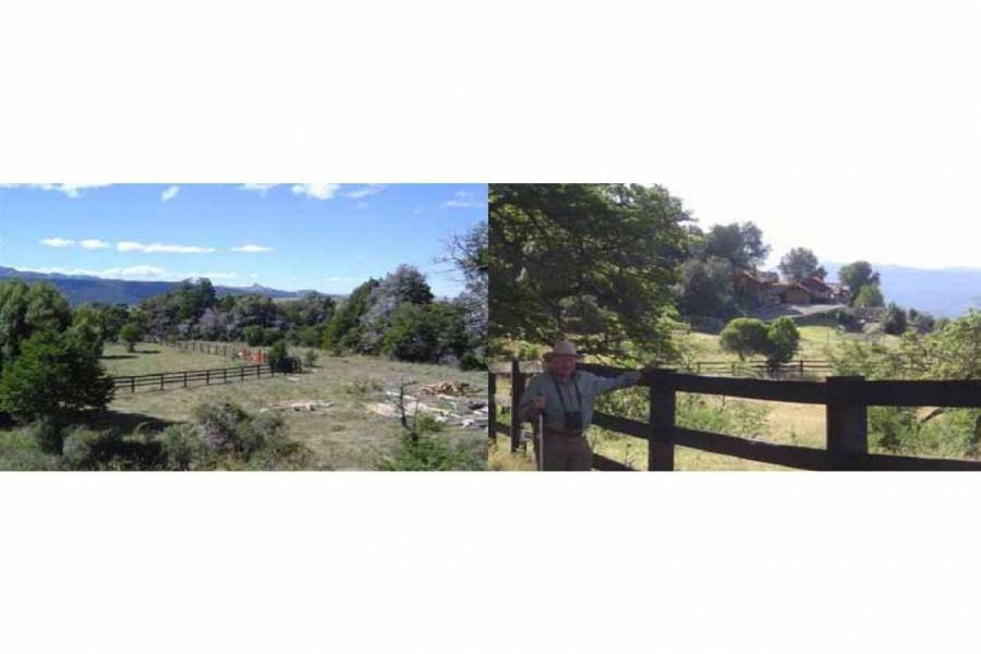 San Martin de los Andes,Neuquén,Campos,Ruta 234,1642