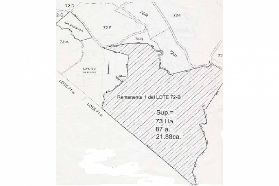 San Martin de los Andes,Neuquén,Campos,Ruta 234,1642