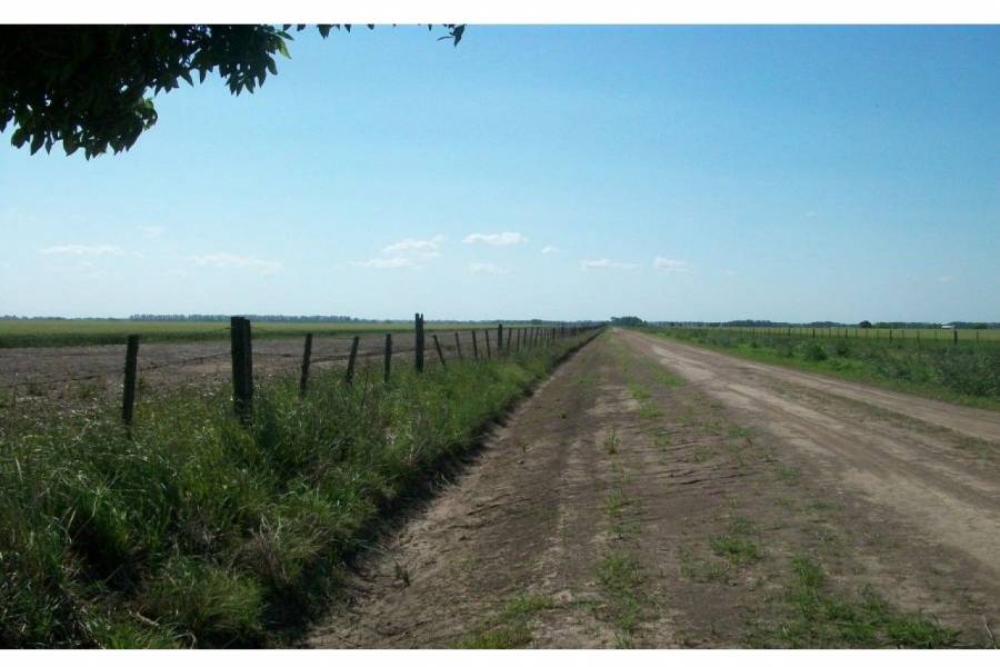 Ibarlucea,Santa Fe,Campos,Ruta 34,1643