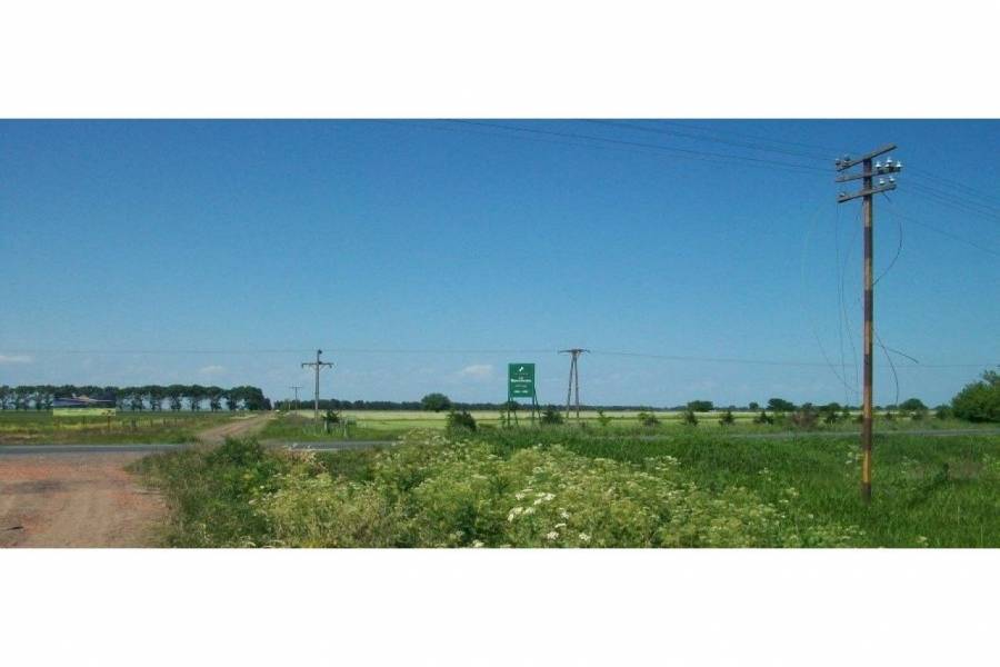 Ibarlucea,Santa Fe,Campos,Ruta 34,1643