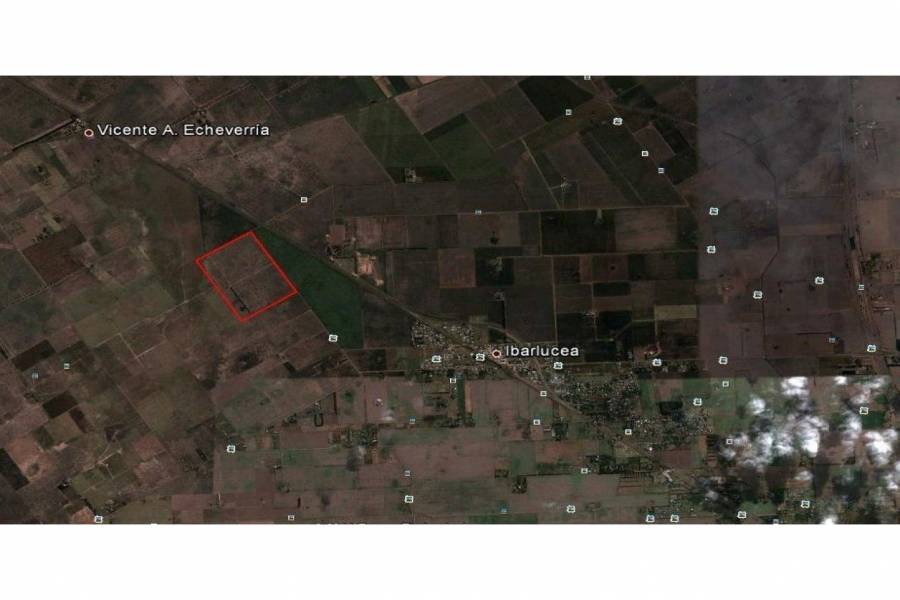 Ibarlucea,Santa Fe,Campos,Ruta 34,1643