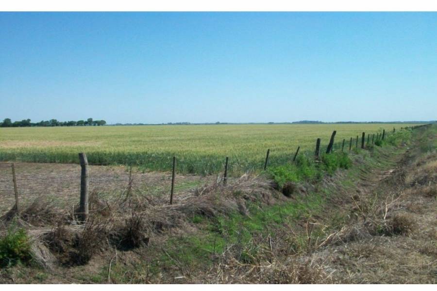 Ibarlucea,Santa Fe,Campos,Ruta 34,1643