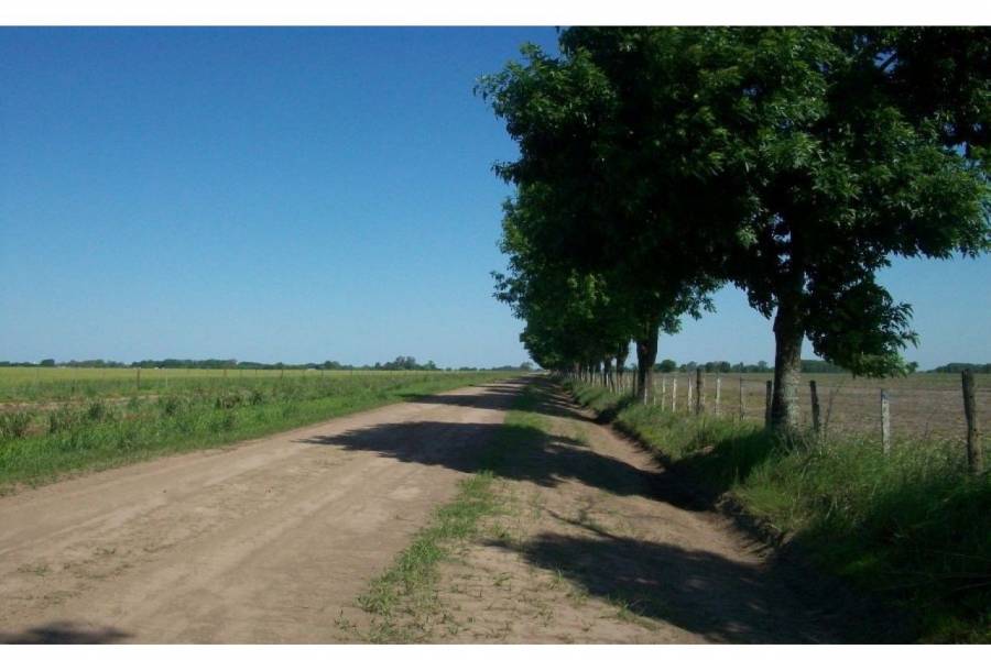 Ibarlucea,Santa Fe,Campos,Ruta 34,1643