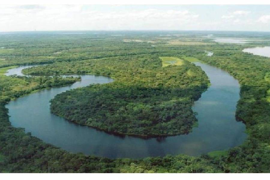 Las Lomitas,Formosa,Campos,Ruta 81,1644