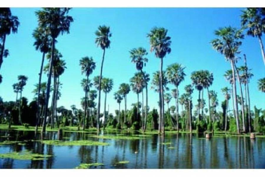 Las Lomitas,Formosa,Campos,Ruta 81,1644