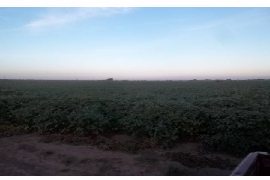 Arminda,Santa Fe,Campos,Ruta 26s,1646