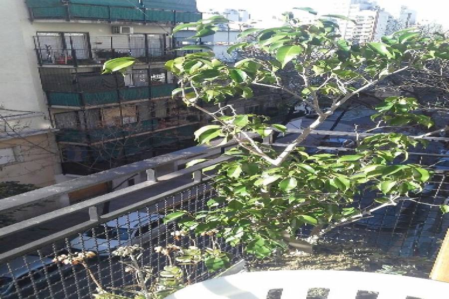 Caballito,Capital Federal,Argentina,2 Bedrooms Bedrooms,1 BañoBathrooms,Apartamentos,BEAUCHEF,7344