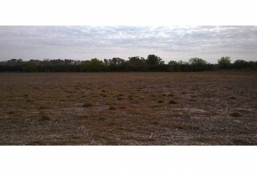 Oliveros,Santa Fe,Lotes,Ruta 11,1649