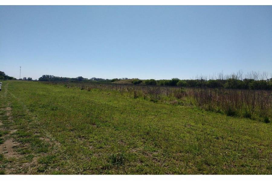 Oliveros,Santa Fe,Lotes,Ruta 11,1649