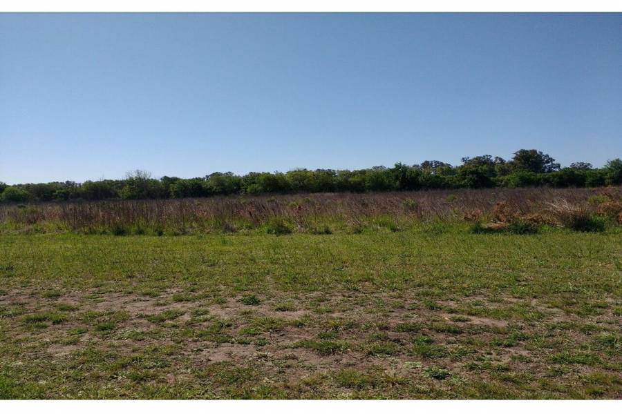 Oliveros,Santa Fe,Lotes,Ruta 11,1649