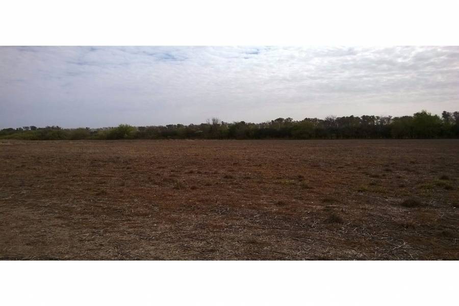 Oliveros,Santa Fe,Lotes,Ruta 11,1649