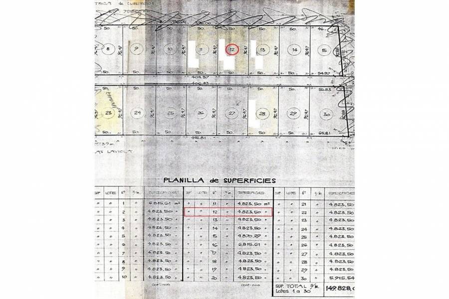 Oliveros,Santa Fe,Lotes,Ruta 11,1649