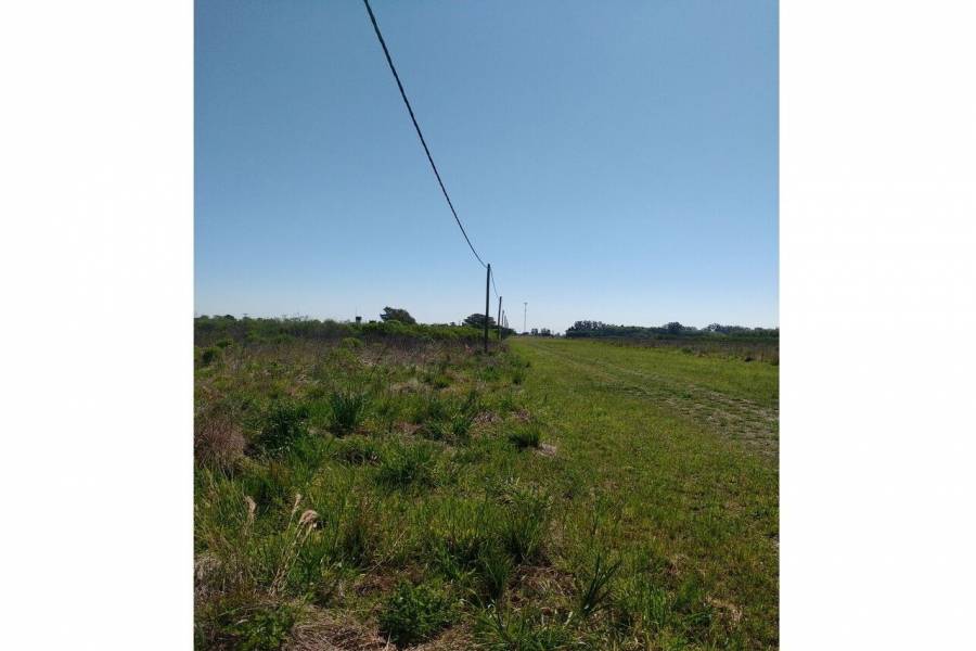 Oliveros,Santa Fe,Lotes,Ruta 11,1649