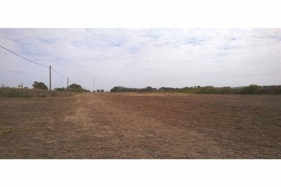 Oliveros,Santa Fe,Lotes,Ruta 11,1649