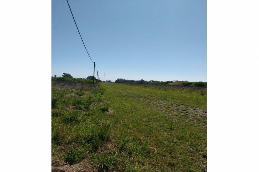 Oliveros,Santa Fe,Lotes,Ruta 11,1649