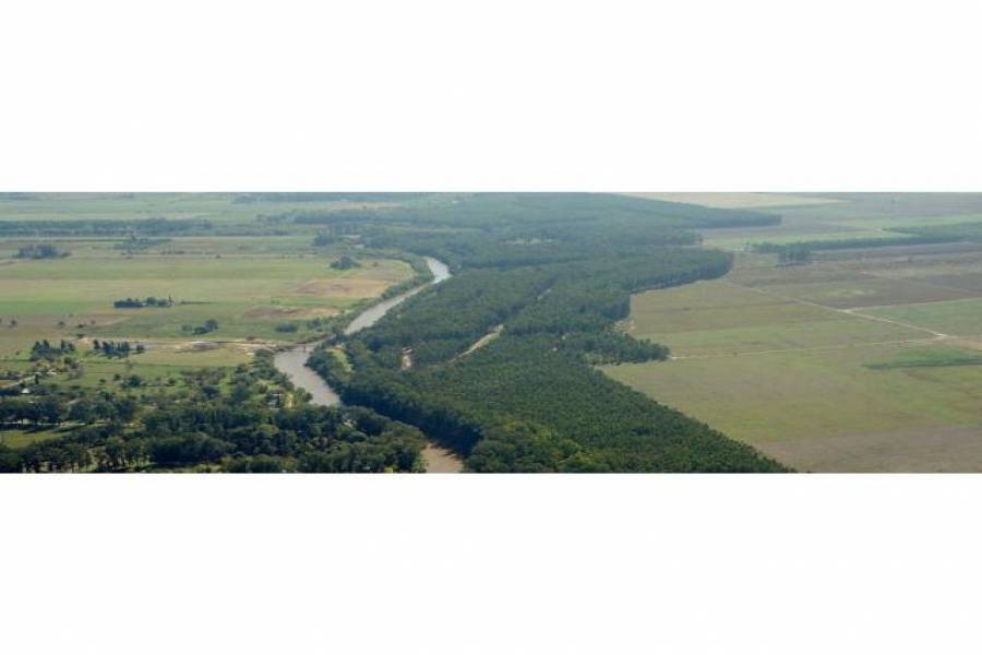 Oliveros,Santa Fe,Lotes,Ruta 11,1649