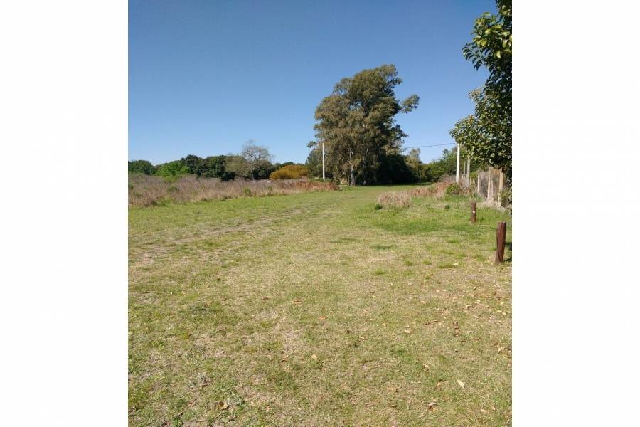 Oliveros,Santa Fe,Lotes,Ruta 11,1649