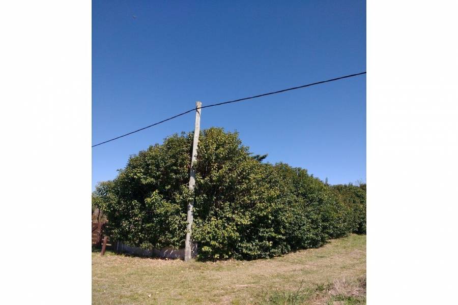 Oliveros,Santa Fe,Lotes,Ruta 11,1649