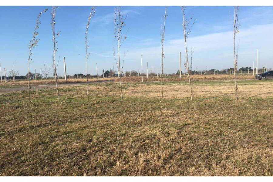 Puerto Gral San Martin,Santa Fe,Argentina,Lotes-Terrenos,Barrio La Pedrera,Av. America y Heroes de Malvinas,1650