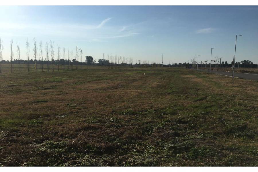 Puerto Gral San Martin,Santa Fe,Argentina,Lotes-Terrenos,Barrio La Pedrera,Av. America y Heroes de Malvinas,1650