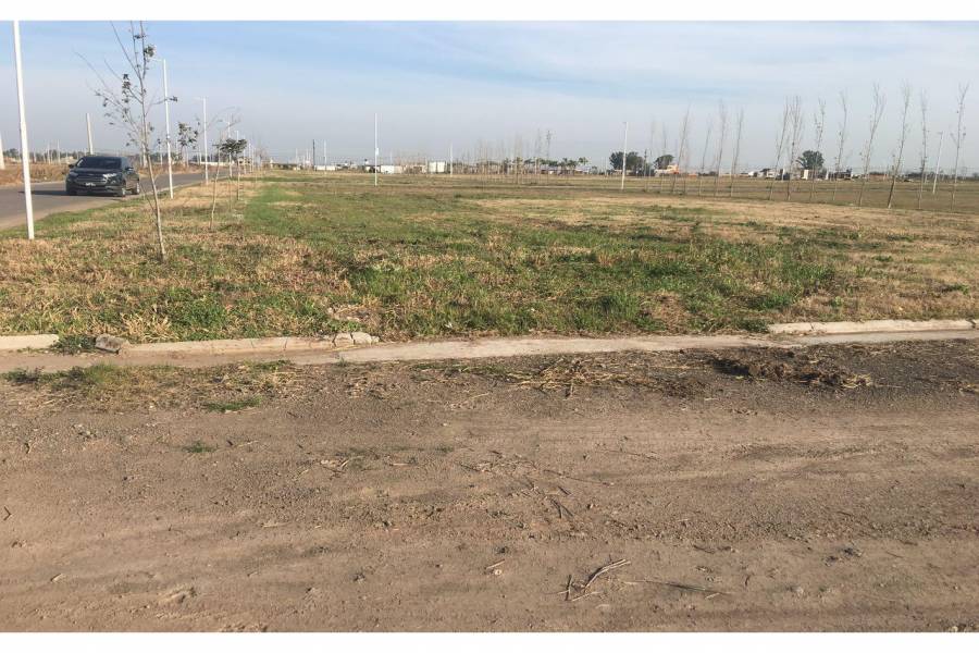 Puerto Gral San Martin,Santa Fe,Argentina,Lotes-Terrenos,Barrio La Pedrera,Av. America y Heroes de Malvinas,1650