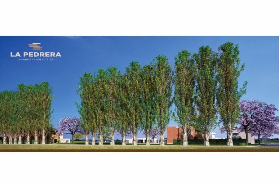 Puerto Gral San Martin,Santa Fe,Argentina,Lotes-Terrenos,Barrio La Pedrera,Av. America y Heroes de Malvinas,1650