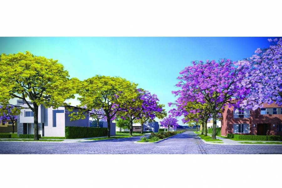 Puerto Gral San Martin,Santa Fe,Argentina,Lotes-Terrenos,Barrio La Pedrera,Av. America y Heroes de Malvinas,1650