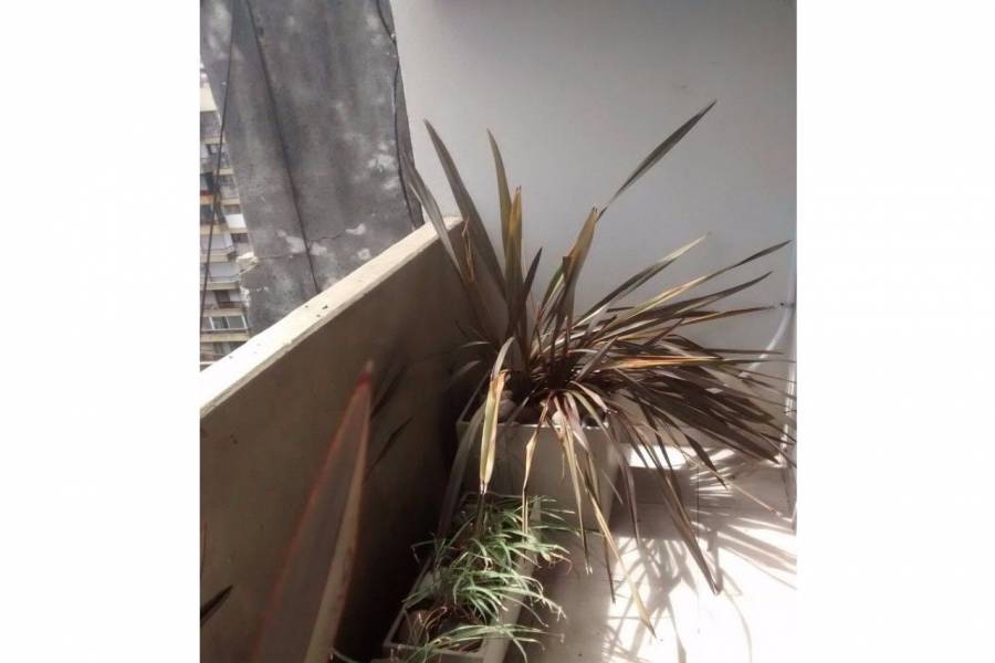 Rosario,Santa Fe,1 Dormitorio Habitaciones,1 BañoBaños,Departamentos,Quadra LIV,Entre Rios ,1,1651