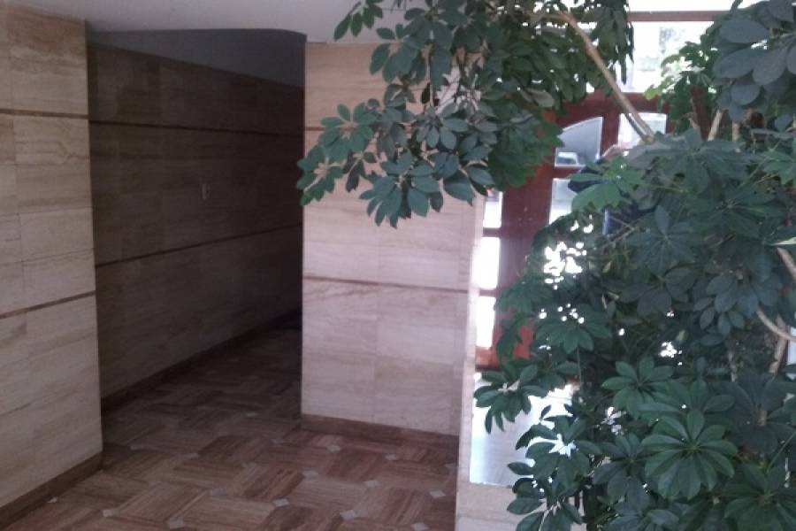 La Paternal,Capital Federal,Argentina,2 Bedrooms Bedrooms,1 BañoBathrooms,Apartamentos,GAVILAN,7392